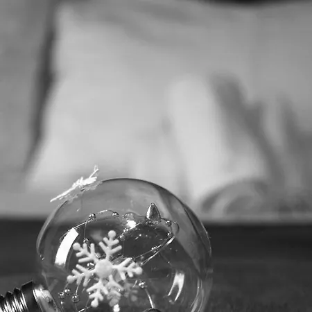 別荘 Homelyfeeling